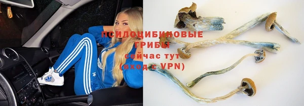 мет Абаза