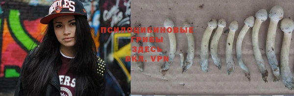 мет Абаза