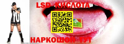 спиды Донской