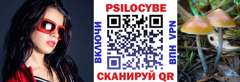 купить наркоту  Вичуга  Галлюциногенные грибы GOLDEN TEACHER 