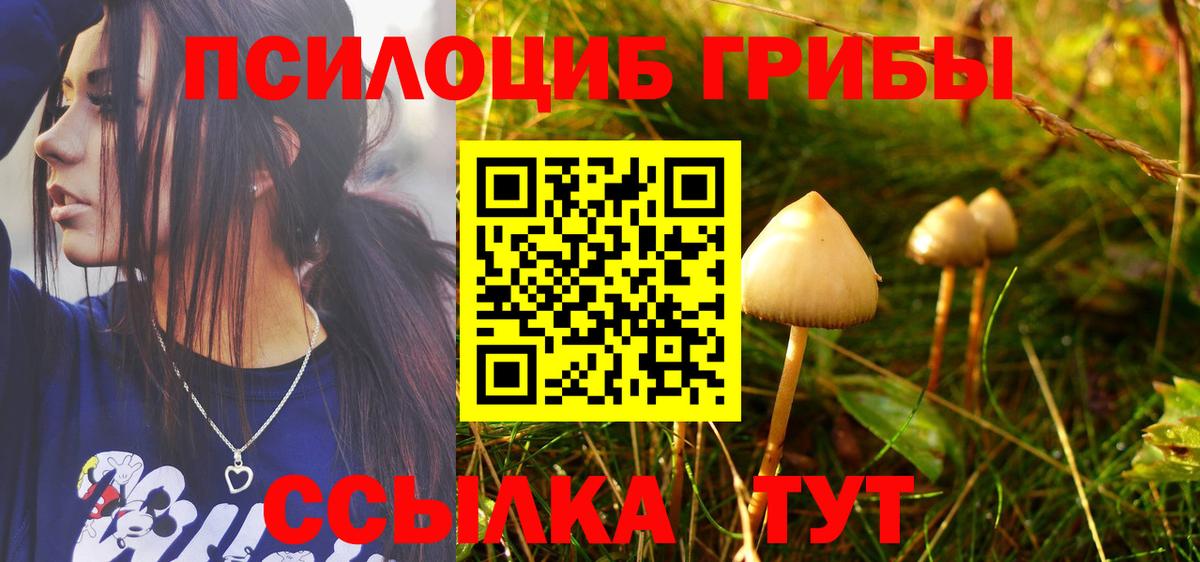 Вичуга  наркошоп  Вход с VPN  Галлюциногенные грибы Psilocybe 
